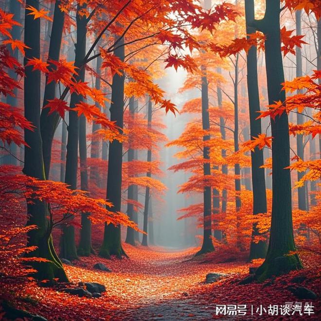 音的立体声与环绕声龙8囯际梨花教育声(图2)