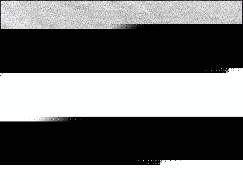 乐手机的外放仍旧无敌媲美小音箱！龙8体育